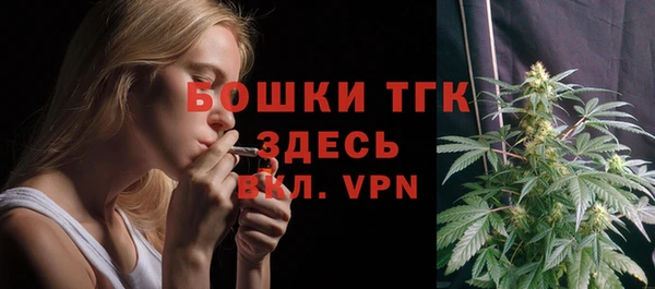 ГАЛЛЮЦИНОГЕННЫЕ ГРИБЫ Абаза